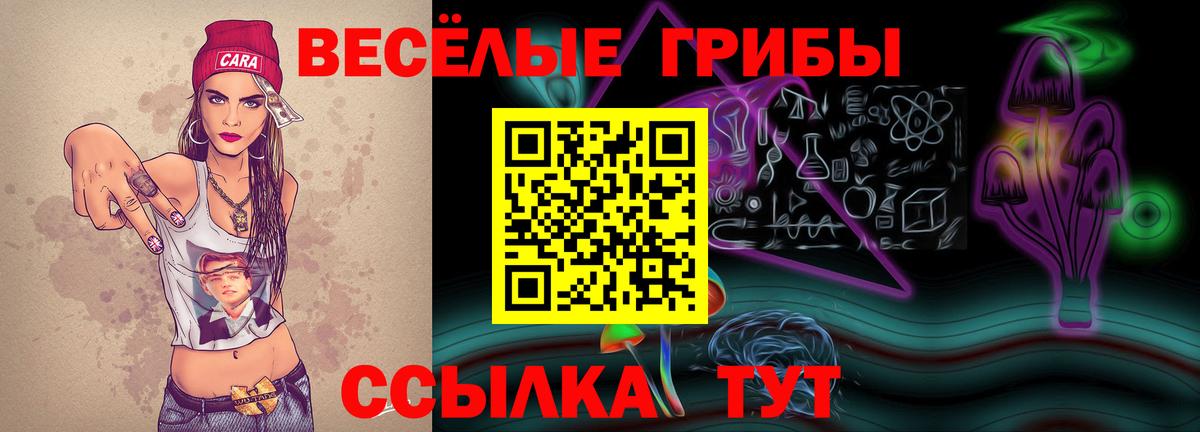 Псилоцибиновые грибы Magic Shrooms  Вход с VPN  Норильск 